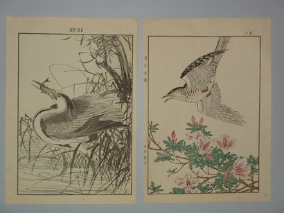 JAPON Deux estampes de Keinen, série des oiseaux aux 4 saisons. 1891