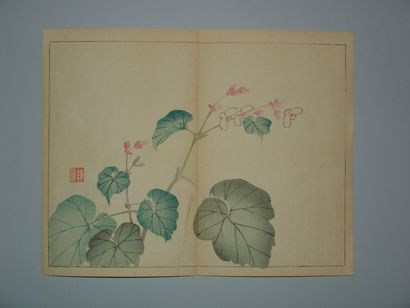 JAPON Deux écoles de Shijo, fleurs et oiseaux. Vers 1885