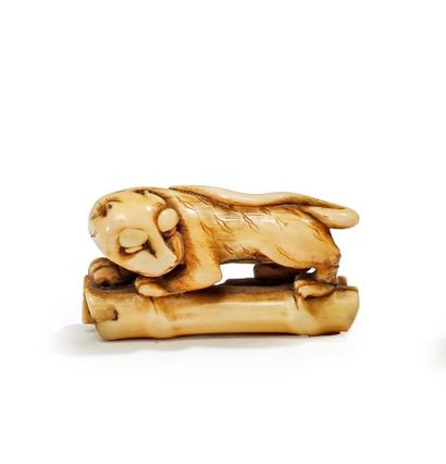 JAPON - Epoque EDO (1603 - 1868) 
Netsuke in ivory, tiger on bamboo, head turned...