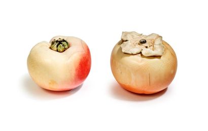 JAPON - XIXE SIÈCLE 
Miniature antique apple and persimmon in stained ivory. (Persimmon...
