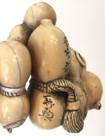JAPON - XIXE SIÈCLE 
Netsuke en ivoire, gourdes accolées entre elles et retenues...