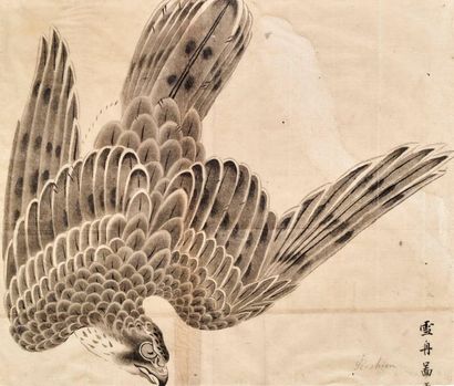 JAPON - XIXE SIÈCLE 
Deux encres sur papier, esquisses de faucons, l'un en vol, l'autre...