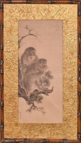 JAPON - XIXE SIÈCLE 
Encre et couleurs sur soie, deux singes perchés sur une branche,...