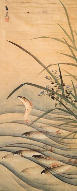 JAPON - XIXE SIÈCLE 
Encre et couleurs sur soie, saumons remontant le courant près...