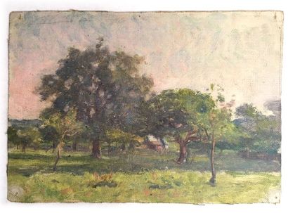 null Jules-Cyrille Cavé (1859-c.1940)

12 études de paysages, sous-bois, vue de village...