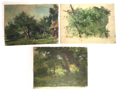 null Jules-Cyrille Cavé (1859-c.1940)

11 études de sous-bois, paysages, vues de...