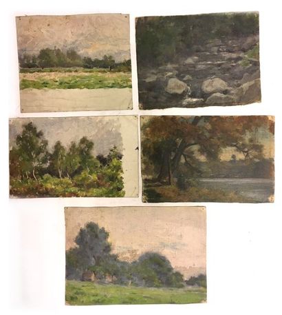 null Jules-Cyrille Cavé (1859-c.1940)

12 études de sous-bois et paysages

Huile...