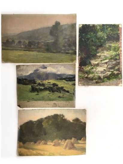 null Jules-Cyrille Cavé (1859-c.1940)

12 études de paysages, vues de villages et...