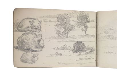 null Jules-Cyrille Cavé (1859-c.1940)

Lot de cinq carnets à dessins dont nombreuses...