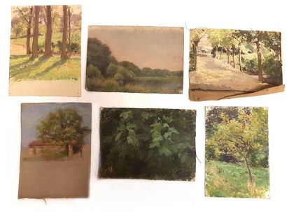 null Jules-Cyrille Cavé (1859-c.1940)

12 études de sous-bois, paysages dont l’un...