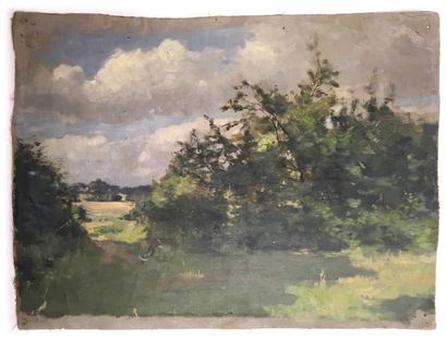 null Jules-Cyrille Cavé (1859-c.1940)

12 études de paysages, sous bois et scènes...