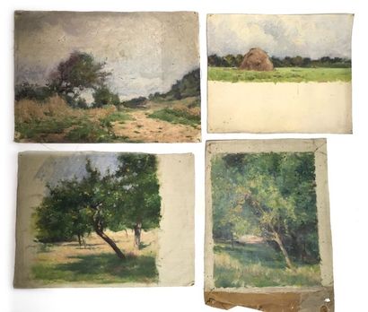 null Jules-Cyrille Cavé (1859-c.1940)

12 études de paysages, sous bois et scènes...