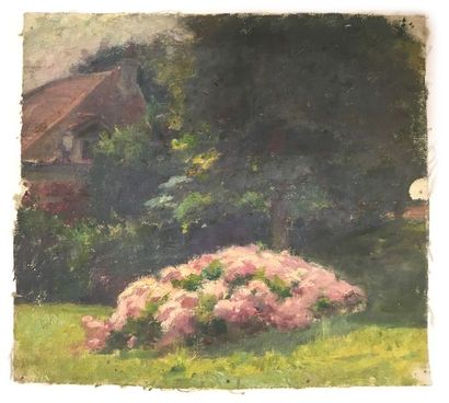 null Jules-Cyrille Cavé (1859-c.1940)

10 études de paysages, sous-bois, natures...