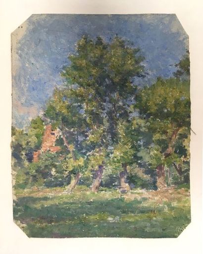 null Jules-Cyrille Cavé (1859-c.1940)

Le bosquet campagnard

Huile sur toile marouflée...