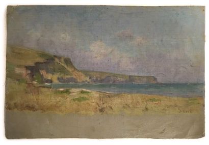 null Jules-Cyrille Cavé (1859-c.1940)

Paysage de Côte

Huile sur toile signée en...