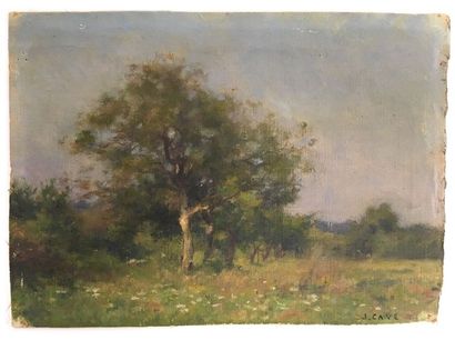 null Jules-Cyrille Cavé (1859-c.1940)

Paysage de campagne fleuri

Huile sur toile...