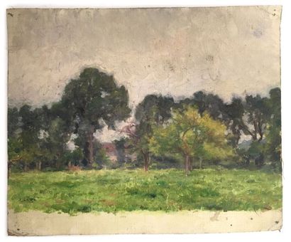 null Jules-Cyrille Cavé (1859-c.1940)

La ferme arborée

Huile sur toile signée en...
