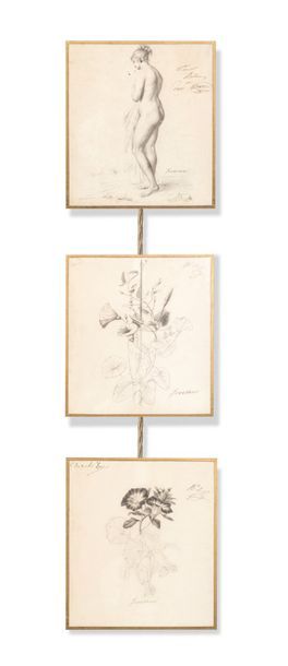 LEVASSEUR (Actif vers 1860) Vingt dessins représentant des études à l'encre d'animaux,...