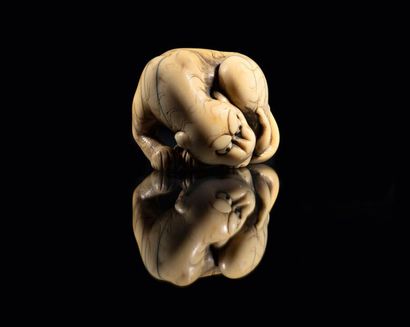 Epoque EDO (1603 - 1868), XVIIIe siècle * Netsuke en ivoire représentant un tigre...