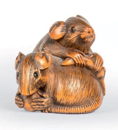 Epoque EDO (1603 - 1868), XIXe siècle Netsuke en buis, deux rats, l'un posé sur le...