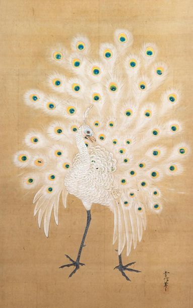 Kano Tsunenobu (1636-1713) Encre sur soie, paon blanc de face faisant la roue.
(Légères...