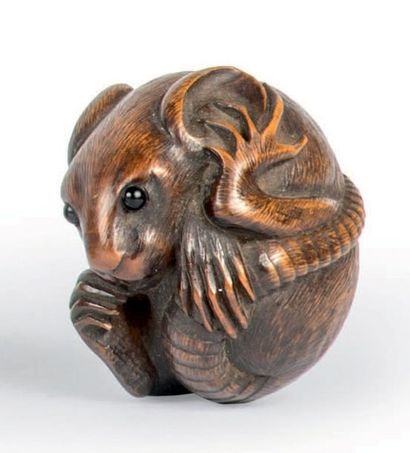 Epoque EDO (1603 - 1868), XIXe siècle Netsuke en buis, rat en boule se grattant l'oreille....