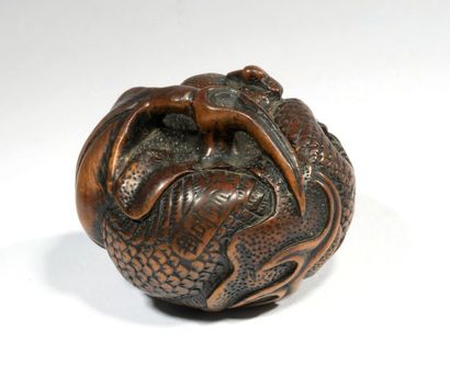 Epoque EDO (1603 - 1868), XIXe siècle Netsuke en bois, dragon enroulé sur lui-même,...