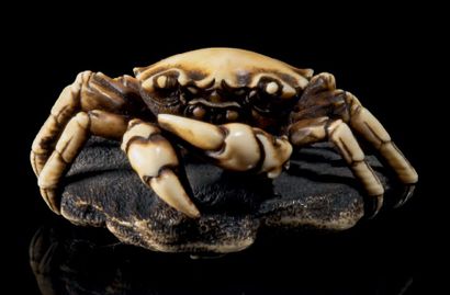 Epoque EDO (1603 - 1868), XIXe siècle * Netsuke en ivoire représentant un crabe sur...