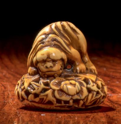 Epoque MEIJI (1868 - 1912) * Netsuke en ivoire à patine jaune, shishi debout sur...