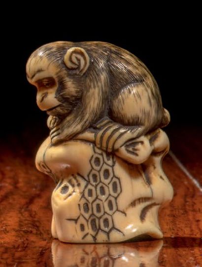Epoque EDO (1603 - 1868), XIXe siècle * Netsuke en ivoire, singe grimpé sur un tronc...