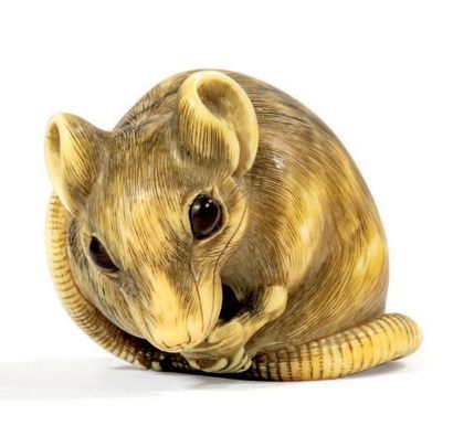 Epoque EDO (1603 - 1868), XVIIIe siècle * Netsuke en ivoire représentant un rat assis,...