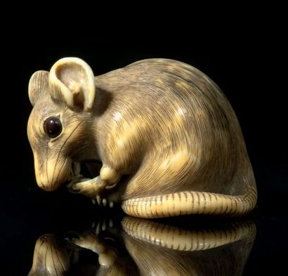 Epoque EDO (1603 - 1868), XVIIIe siècle * Netsuke en ivoire représentant un rat assis,...