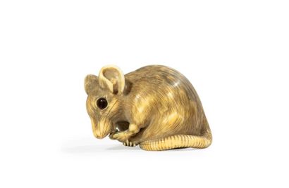 Epoque EDO (1603 - 1868), XVIIIe siècle * Netsuke en ivoire représentant un rat assis,...