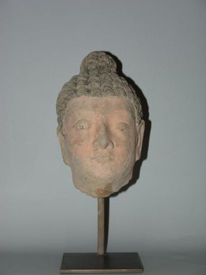 ART GRECO-BOUDDHIQUE DU GANDHARA (Ier - Vème siècle) Tête de Bouddha, coiffure à...