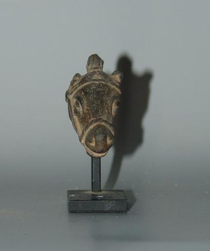 ART GRECO-BOUDDHIQUE DU GANDHARA (Ier - Vème siècle) Tête de cheval. En schiste....