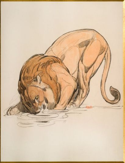 Paul JOUVE (1878-1973) 
Lion s'abreuvant
Aquarelle, rehaut de gouache et crayon gras
Signé...