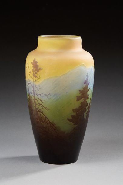 ÉTABLISSEMENTS GALLÉ 
Vase balustre en verre doublé à décor dégagé à l'acide d'un...