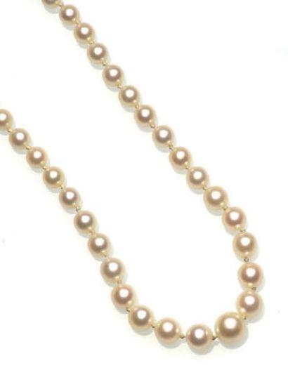 null Collier de 80 perles (mélange en cours de test) fermoir en or gris 18K (750°/00)...