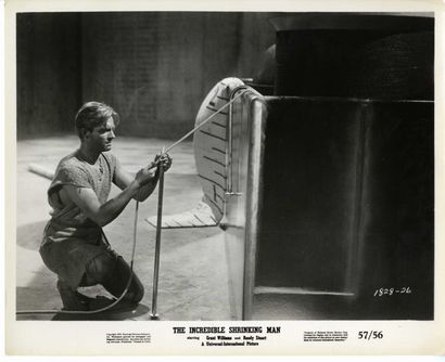 6 Photos originales - INCREDIBLE SHRINKING MAN (the) - 1957 6 photos en bon état....