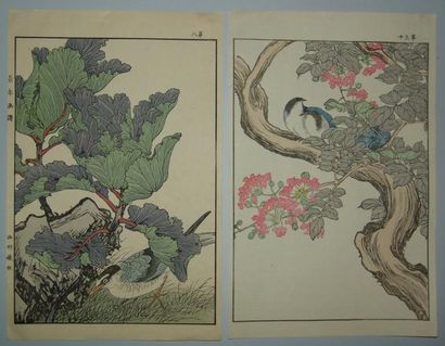JAPON Deux estampes de Keinen, série des oiseaux aux quatre saisons. 1891.
