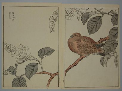 JAPON Diptyque de Bunrei, pigeon sur une branche fleurie. 1893.