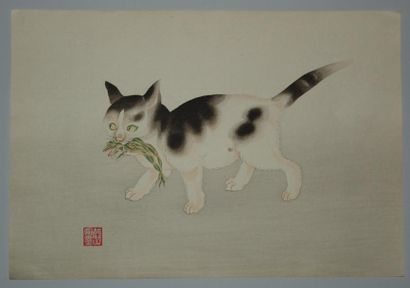JAPON Estampe d'Aoyama, un chat tient une grenouille. Vers 1930.