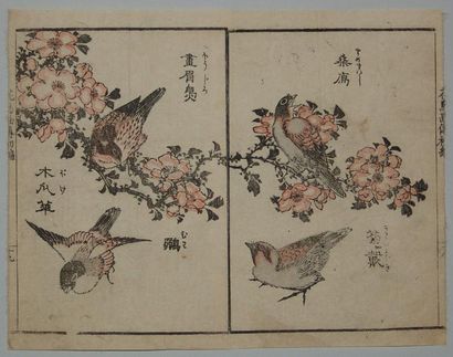 JAPON Trois estames de Taito, série des 100 oiseaux. Vers 1820.