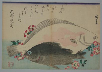JAPON Estampe de Hiroshige, la grande série des poissons, turbot et bar. Vers 18...