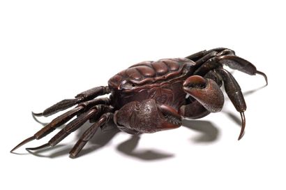 JAPON - XIXE SIÈCLE Crabe articulé en bronze à patine brune. (Manques)
L. 23 cm