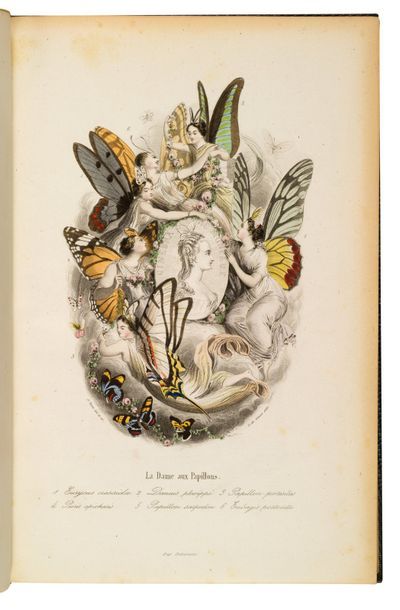 VARIN (Amédée), NUS (Eugène) & MÉRAY (Antony) 
Les Papillons, métamorphoses terrestres...