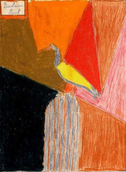 DUHEM Paul Oiseau / Crayon de couleurs et pastel sur papier / SHG / 33,5 x 24 cm