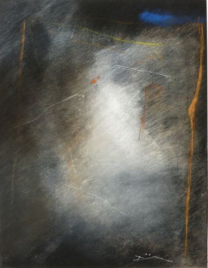 DUMINIL Franck Sans titre / Pastel sec sur papier / SBD / 31,5 x 24,5 cm