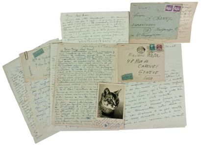 null Ensemble de 7 lettres et carte postale avec photo du chat bébert, écrites par...
