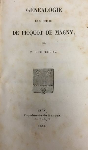 null [NORMANDIE/PICQUOT de MAGNY]. Du FEUGRAY (L.).
Généalogie de la famille de Picquot...